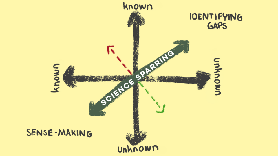science sparring drawing with arrows