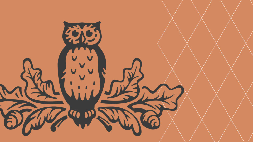 Tiedeakatemian pöllö-logo ruskealla taustalla