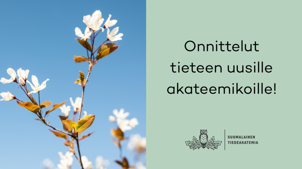 Kuvassa kukkia sekä teksti jossa lukee onnittelut tieteen uusille akateemikoille