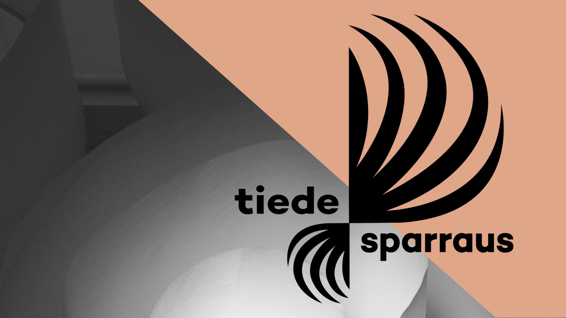 Tiedesparraus spriraalilogo